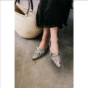 Freda Salvador Lay Mule